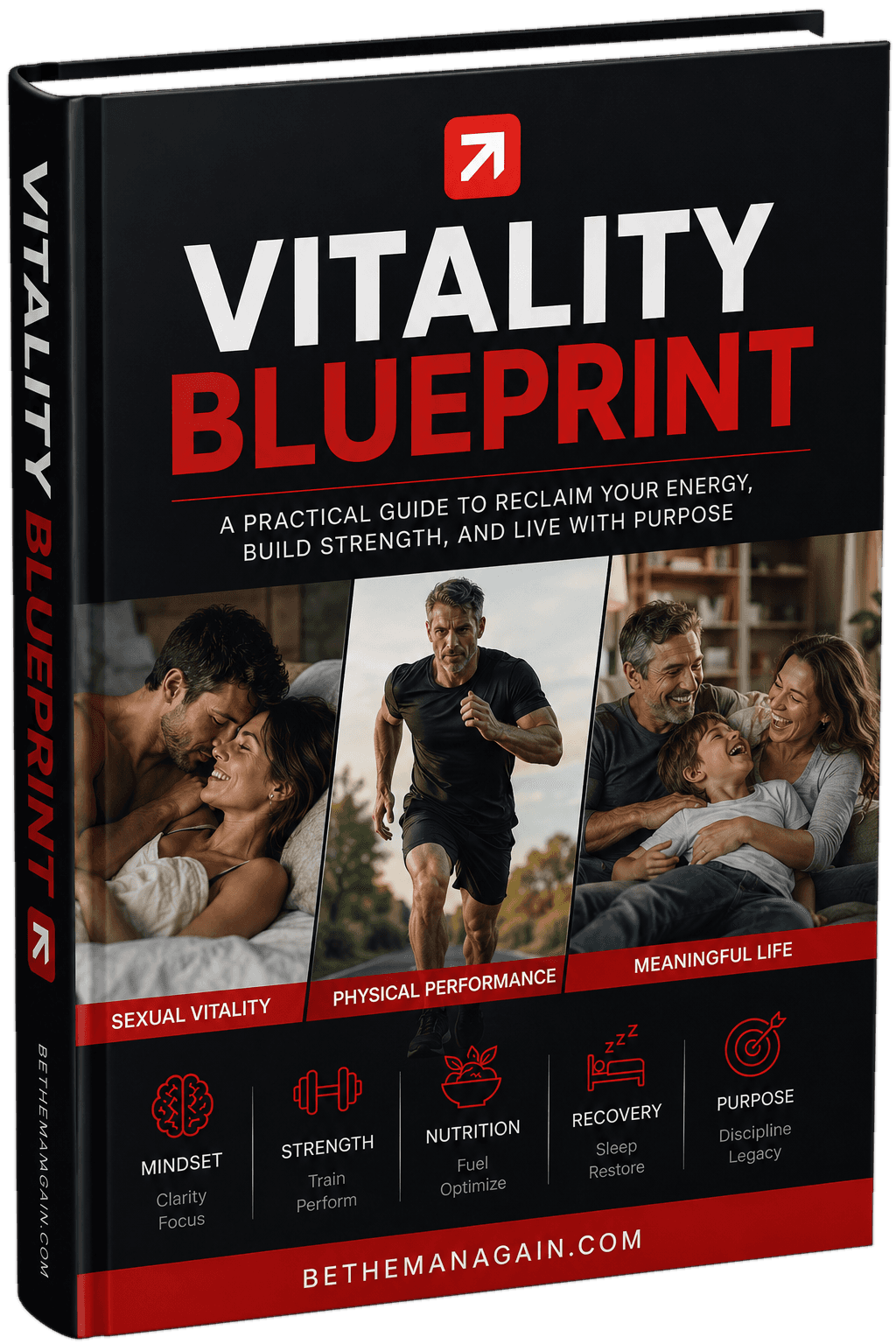 Vitality Blueprint — 3D book cover